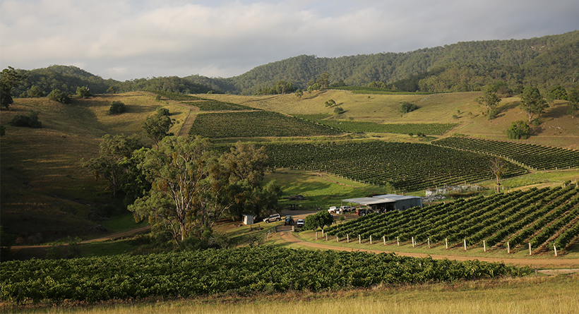 Eagles Rest Maluna Vineyard